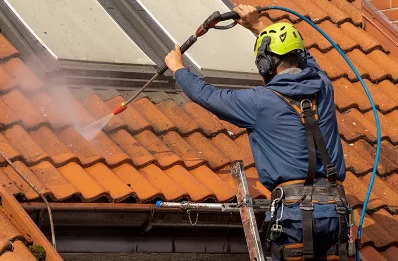 Démoussage et hydrofuge de toiture à Aigle